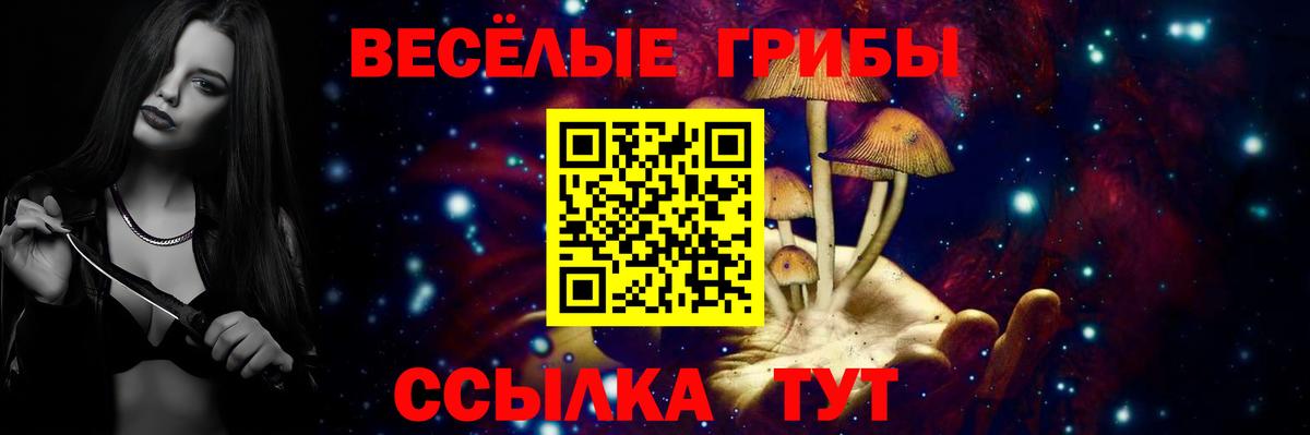 Галлюциногенные грибы Междуреченск